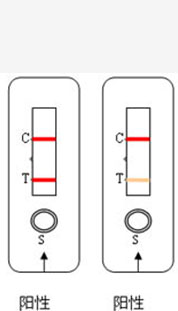 δ-1.jpg