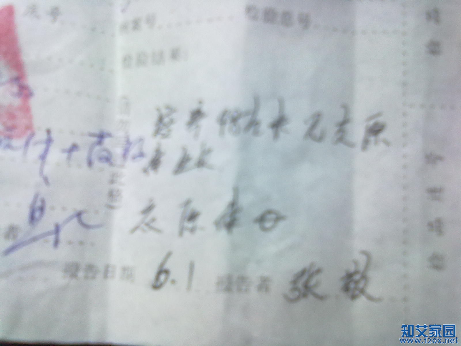 20110601125.jpg